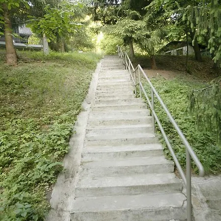 Harangvirag 36 Fahaz *